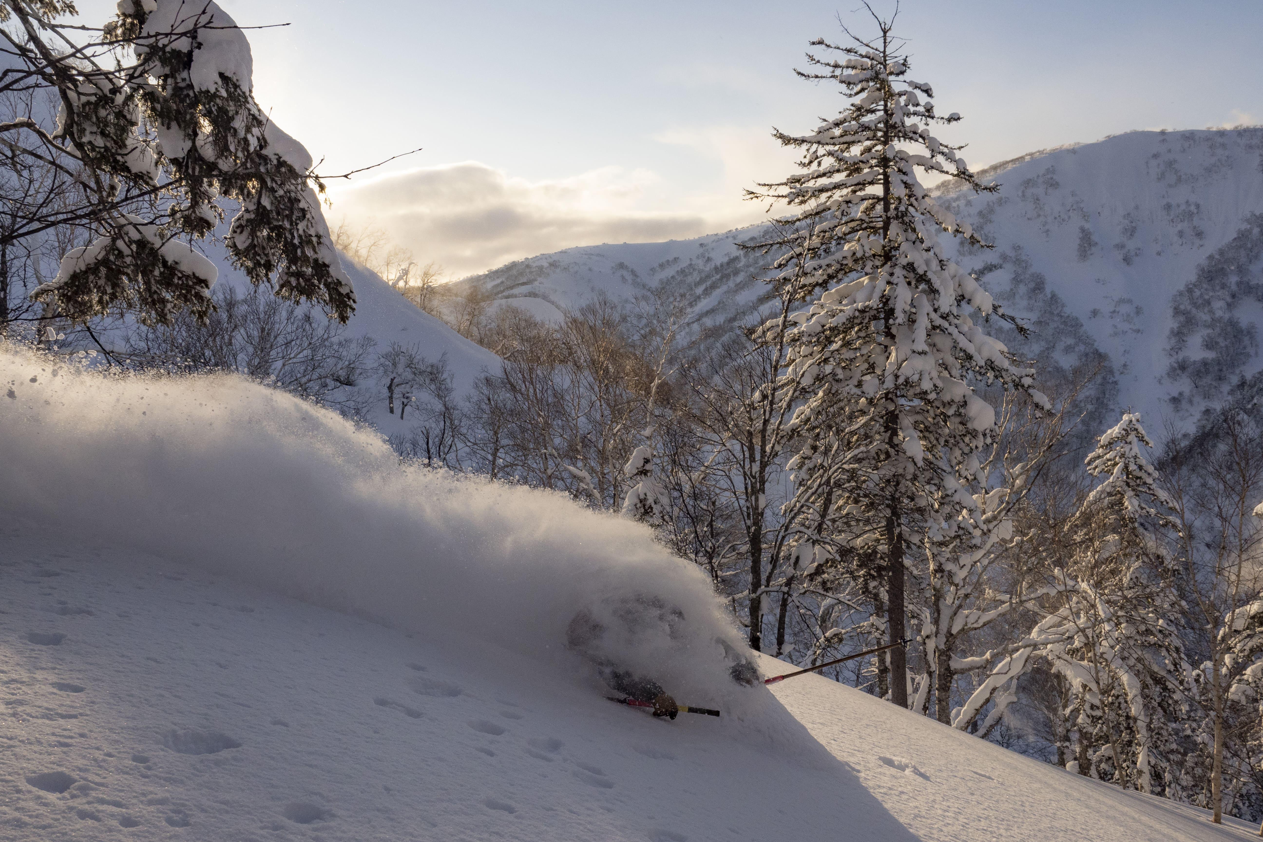 Best Time of Year for Backcountry Skiing in Furano and Kamikawa