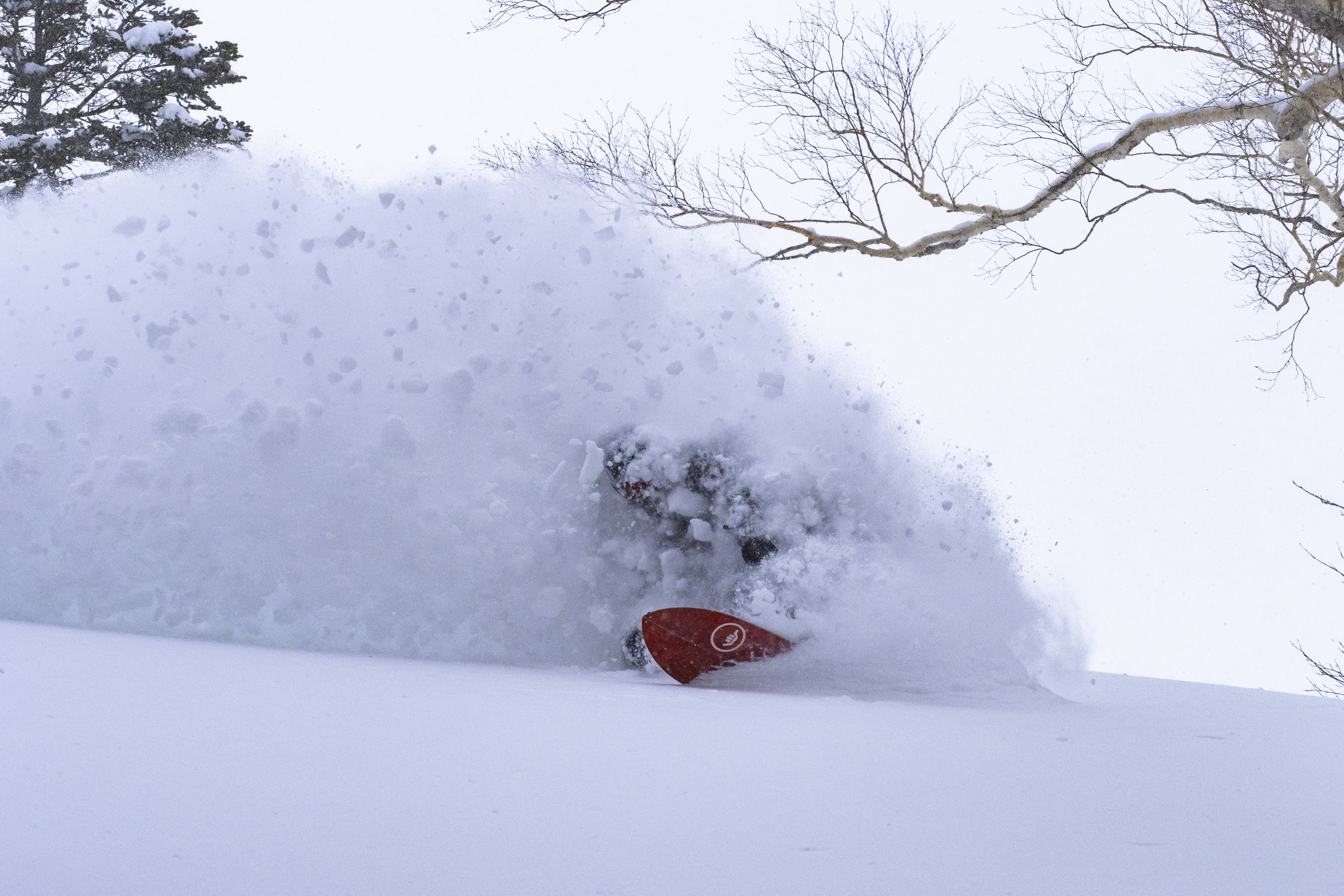 snowboarder making a turn covered in powder snow